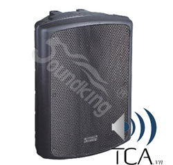 Loa Monitor có công suất Soundking KB15A