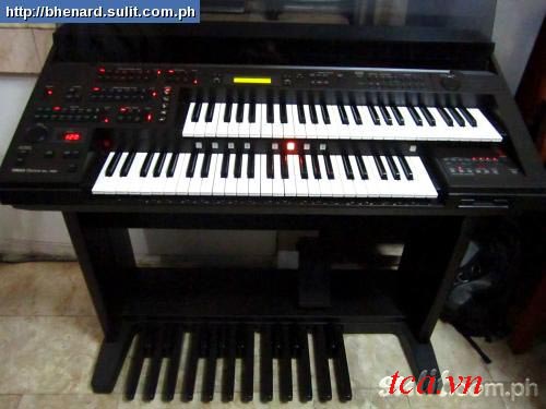 Đàn Organ Electone EL 50, ban dan organ, đàn organ, mua đàn organ electone, ban đàn organ